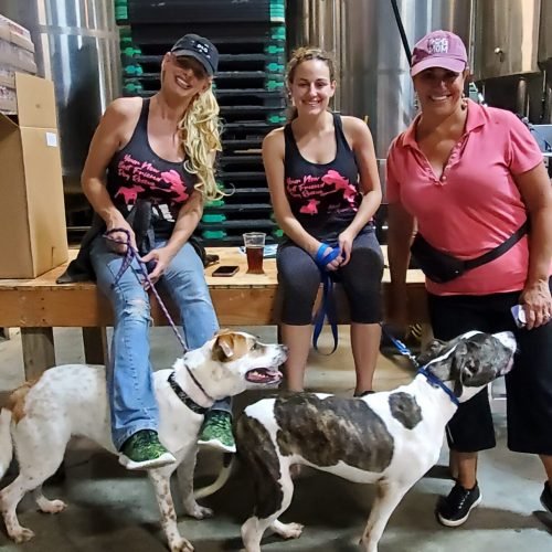 Local Couple Hops to Breweries to Help Rescue Pets Find Homes